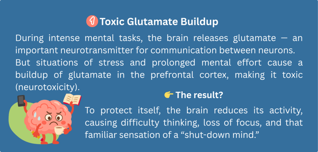 Toxic Glutamate buildup